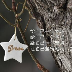 一个一个梦想