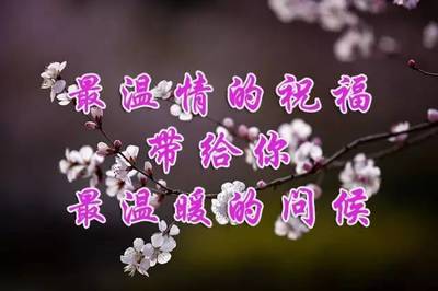 лҵ