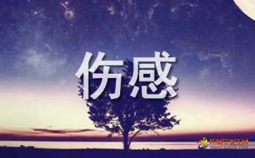 ¶˸¼̾