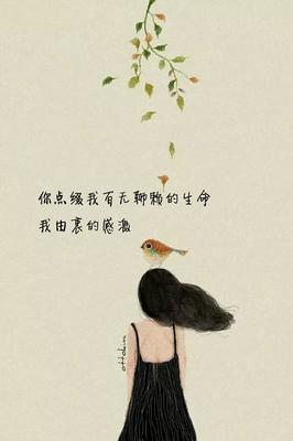 安静的语句