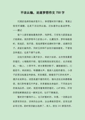 有关追逐梦想的作文